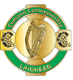Leinster League Final Div 1