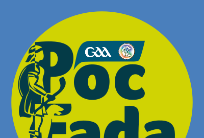 Poc Fada in Gowran Park