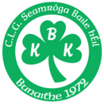 Ballyhale Shamrocks