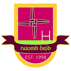 Naomh Brid, Ballyragget