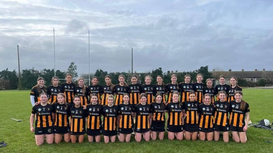 Kilkenny U16A’s have comprehensive win over Wexford in first round of Leinster Championship