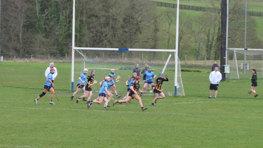Kilkenny Minor B team hold out against Dublin, to set up Leinster Final against Kildare