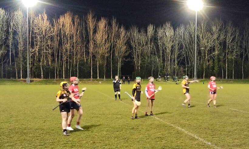 Late Laoise McKenna Goal gets champions off to winning start