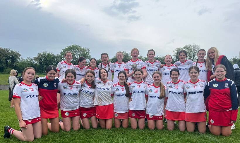 Kilkenny Feile Division A