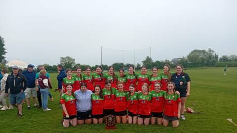 Kilkenny Feile Division B
