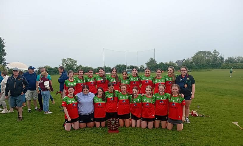 Kilkenny Feile Division B