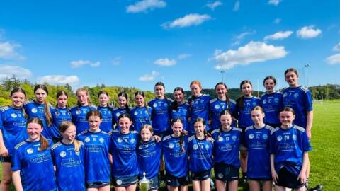 Kilkenny Feile Division C
