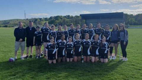 Kilkenny Feile Division D