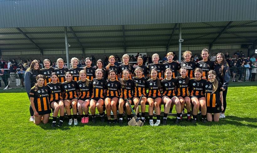 Narrow Defeat in U17 Development Series Final for Kilkenny at hands of Tipperary
