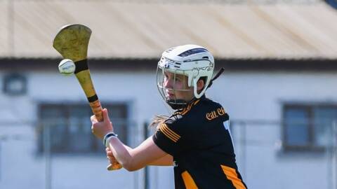 Cats run Laois close in Intermediate decider