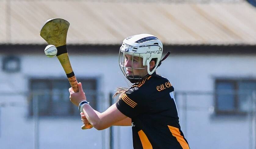 Cats run Laois close in Intermediate decider
