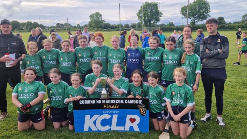 Primary School Roinn B Winners Urlingford NS