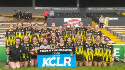 Kilkenny Camogie
