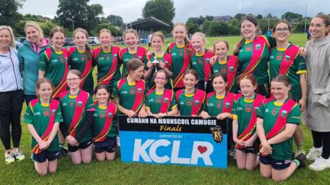 Kilkenny Camogie