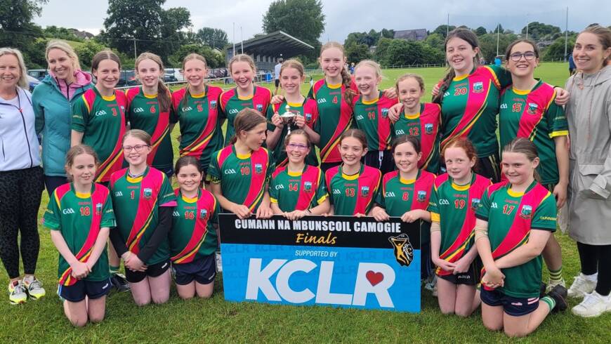 Primary Schools Roinn D Winners Dunnamaggin NS