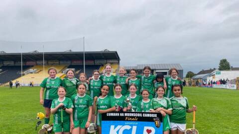 Kilkenny Camogie
