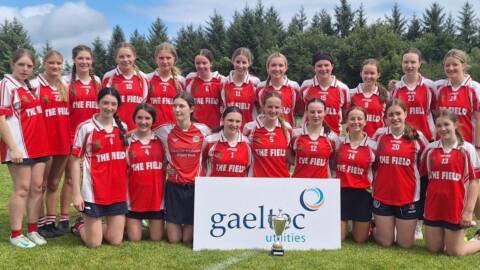 Kilkenny Camogie