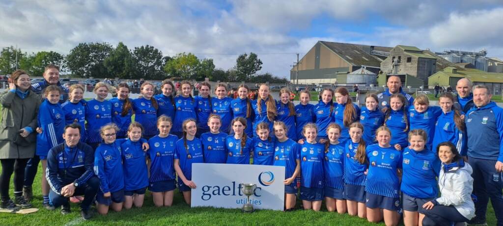 Key Goals at Critical Moments Swing U14A final for Erins Own