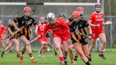 Kilkenny Camogie