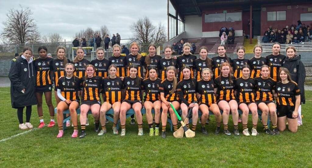 Kilkenny hold nerve to get narrow win