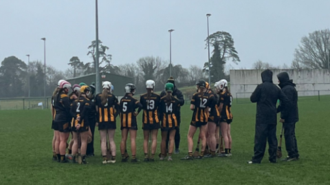 Kilkenny Camogie