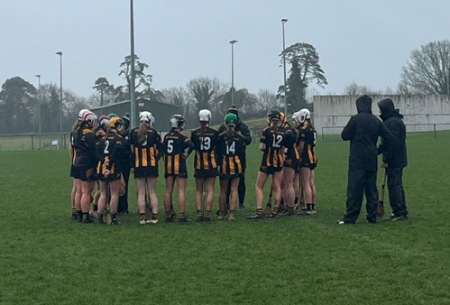 U16B’s have good win over Carlow in Leinster 3rd Round