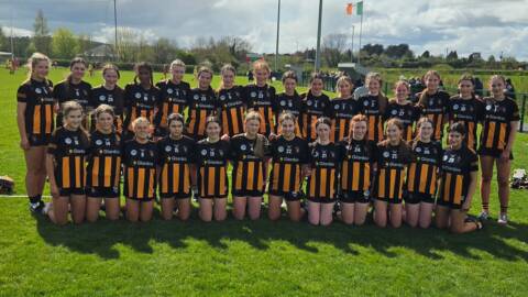 Kilkenny Camogie