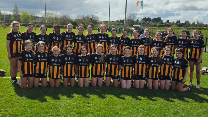 Classy Cats advance to Under 16 Camogie Final