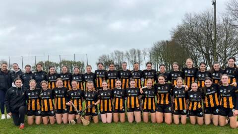 Kilkenny Camogie