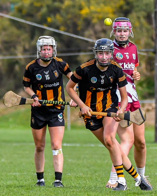 Goals decide game as impressive Tribeswomen head West with win