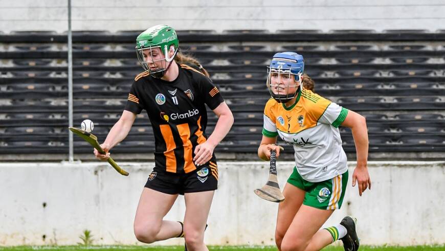 Cats maintain their purr-fect record with impressive win