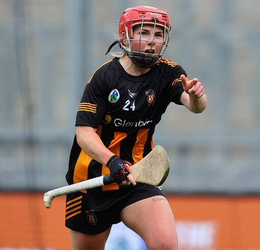 Nolan double sees Kilkenny battle past Waterford challenge