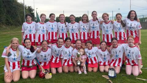 U14D League Winners Young Irelands