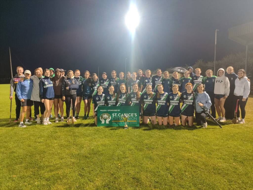 Mooncoin Edge out Graiguenamanagh to Win Minor D League Title after Extra Time