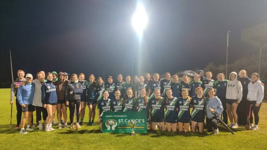 Mooncoin Edge out Graiguenamanagh to Win Minor D League Title after Extra Time