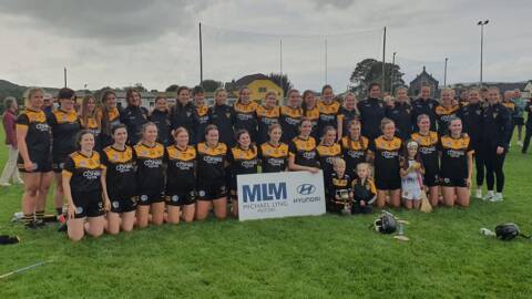 Piltown retain Michael Lyng Motors Senior League Title defeating Thomastown
