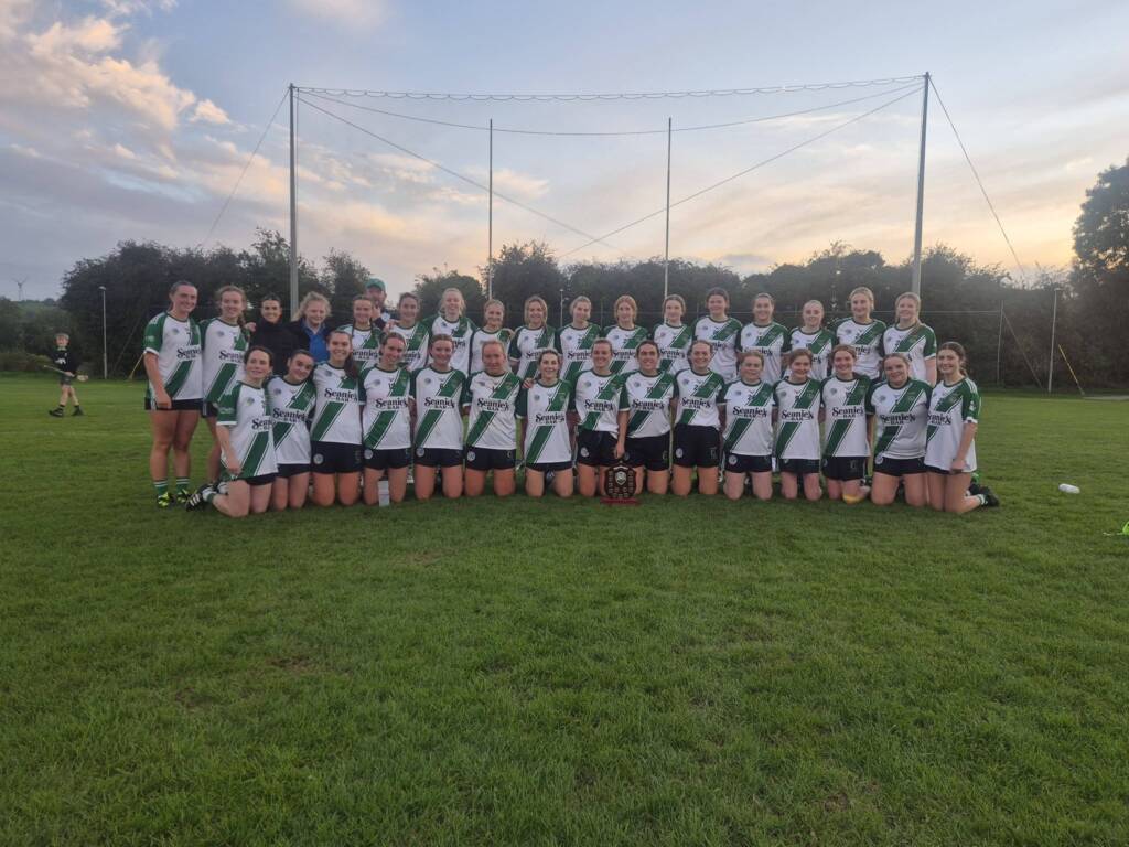 Strong Second Half Wins Senior Shield Final for Tullaroan