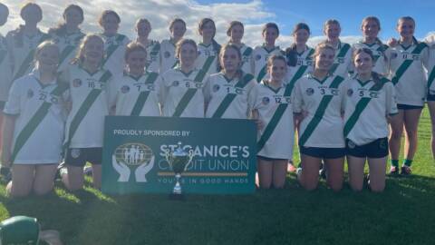 Strong start leads Tullaroan to championship glory